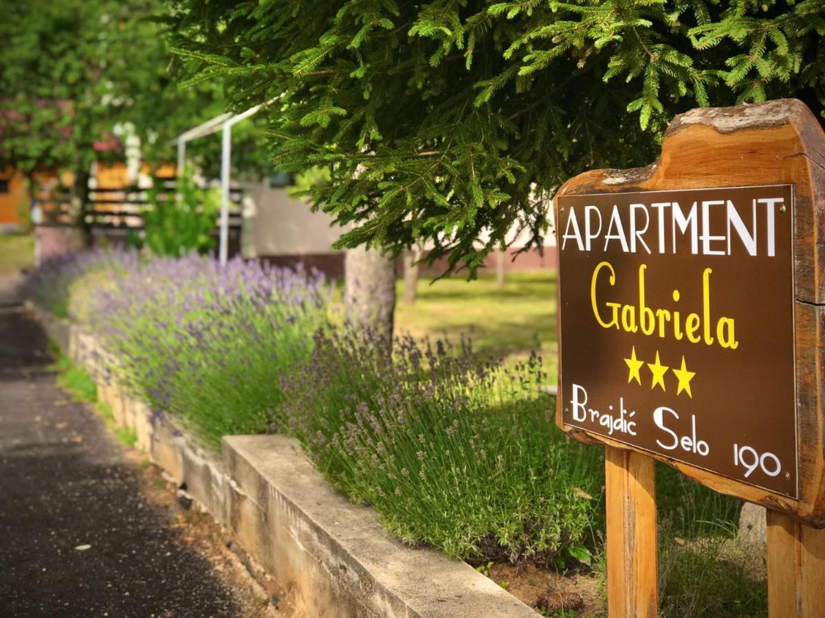 Apartment Gabriela Rakovica Εξωτερικό φωτογραφία